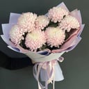 Букет «7 розовых одноголовых хризантем»