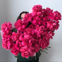 Стильный букет из 25 ароматных роз