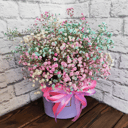 Композиция «Гипсофила в овальной коробке»