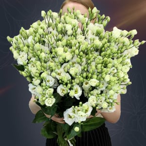 Букет из 51 белого лизиантуса из эустом