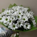 Букет «Ромашки»