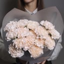 Букет из гвоздики сорта Брют