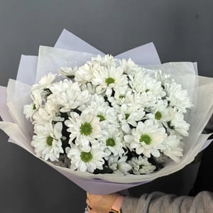 Букет ромашковых хризантем