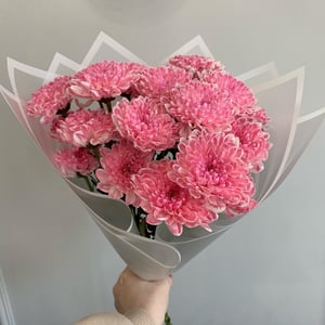 Малиновый букет из хризантем