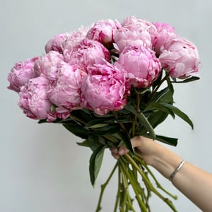 Букет пионов розовых