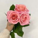 Букет из 3 розовых роз под ленту