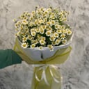 Букет из 5 Ромашек из ромашек