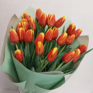 Букет «25 красно-жёлтых тюльпанов»