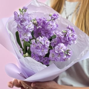 Монобукет ароматная маттиола