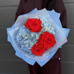 Яркий букет из французских алых роз и голубой гортензии