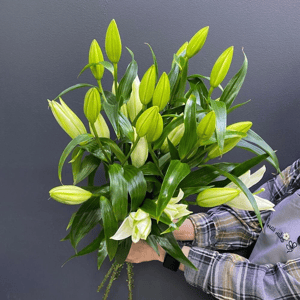 Букет из лилии