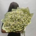 Букет «Ромашка полевая»