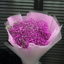 Букет из 5 гипсофил