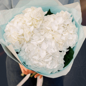 Классический букет из 3 белых гортензий