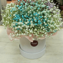 Гипсофила в шляпной коробке