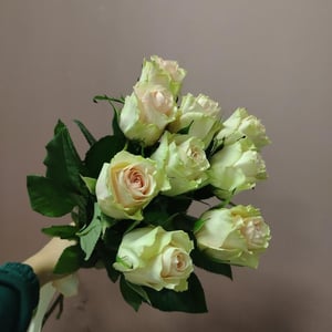 Букет «9 роз Эквадор Фрутетто»