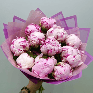Букет «Ароматные пионы Сара розовые 11 шт»