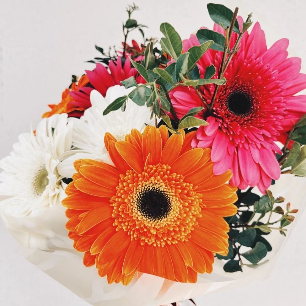 Gerberas bouquet delivery