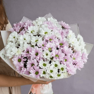 Букет из 15 хризантем кустовых ромашка