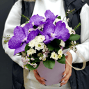 Коробка с цветами «Композиция "Синеглазка"» из орхидей