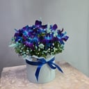 Шляпная коробка с цветами «Орхидея Космос»