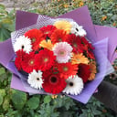 Букет «Цветные герберки»