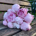 Букет из 11 розовых пионов