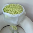 5 салатовых гортензий