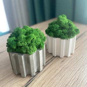 Шестеренка со мхом