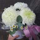 Шляпная коробка с цветами «Магнум в коробке» из хризантем и ромашек