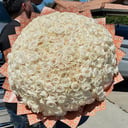 Букет былых роз 201 шт