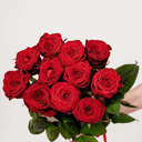 Моно букет 11 красных роз под ленту