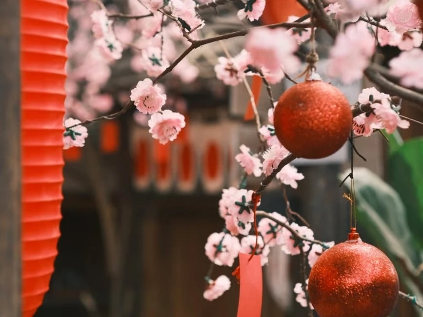 Traditional Chinese flowers in bloom
