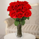 12 premium red roses