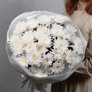 Нежный букет из светлых хризантем L