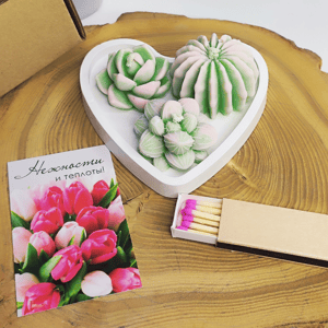 Свечи суккуленты