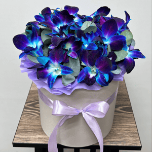 Орхидея Космос в коробке M