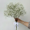 Букет живых цветов из 5 гипсофил