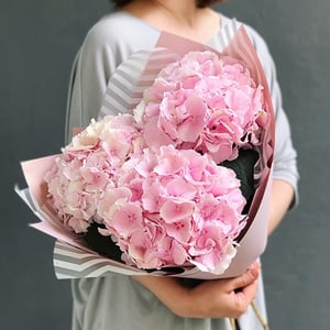 Букет «Нежные гортензии»