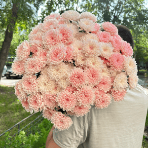 Букет «Хризантема розовая 15 шт»