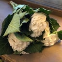 Букет «Утренний комплимент» из гортензий