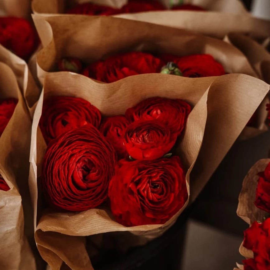 Entretien du bouquet à Bordeaux
