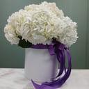 Шляпная коробка с цветами «Белый ангел» из гортензий