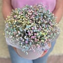 Шляпная коробка с цветами «Радужная гипсофила в коробке»