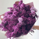 Букет из сирени средний