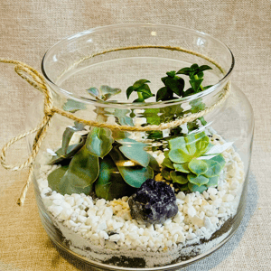 Баночка живой гармонии