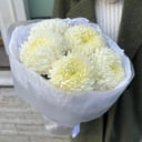 Букет хризантема белая