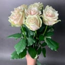 Букет из 9 роз под ленту