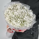 Букет гипсофилы