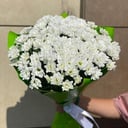 Букет «Ламбада» из хризантем